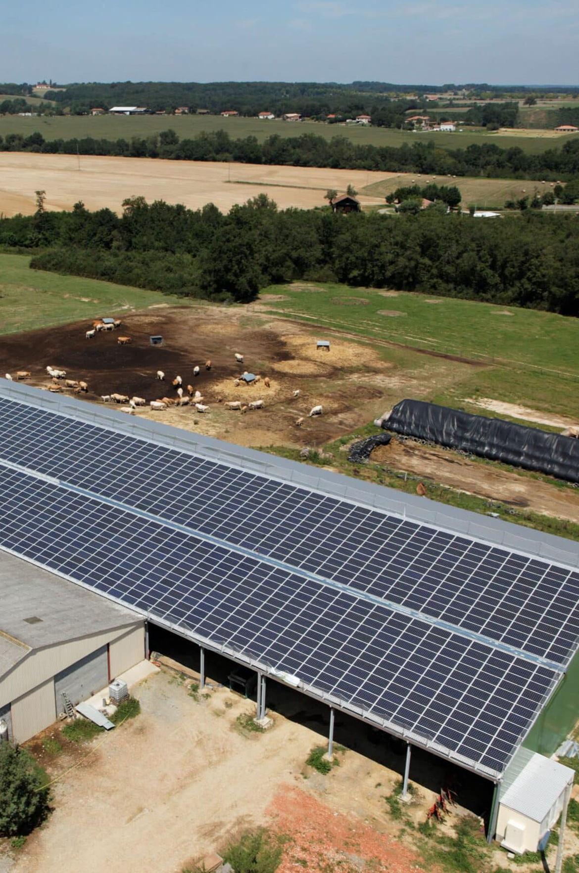 Installation d’un Système Solaire pour une Exploitation Agricole