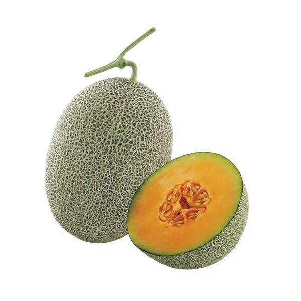 Variété de Melon Hybride XJ Hami F1 – Melon Miel Juteux et Rafraîchissant, La Plus Vendue