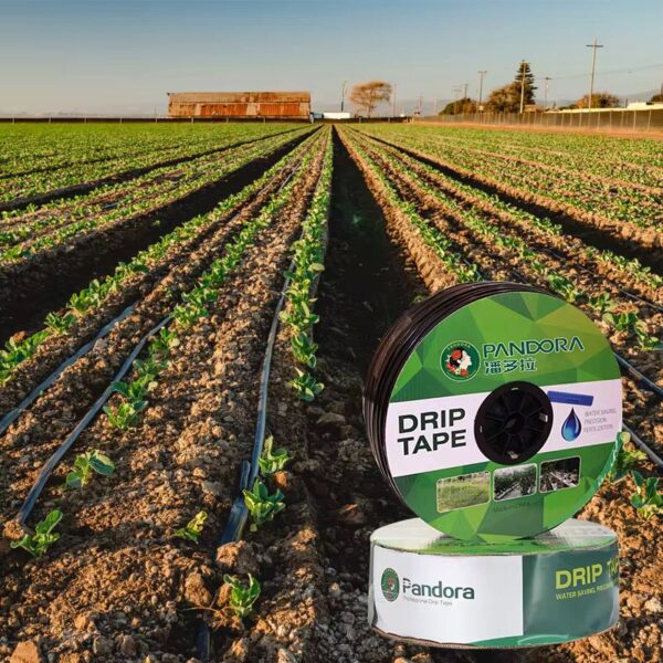 Kit Complet d'Irrigation Goutte à Goutte Automatique – 1Ha, 2Ha, 5Ha, 10Ha